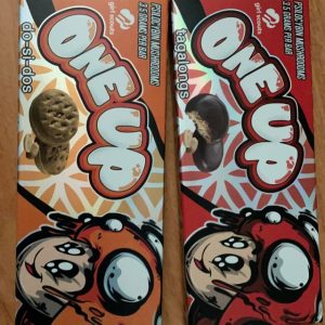 Chocolate-Mushroom-Bars-300x3004